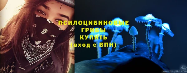 мяу мяу мука Бугульма