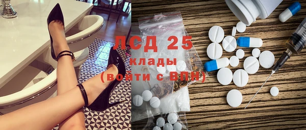 хмурый Губаха