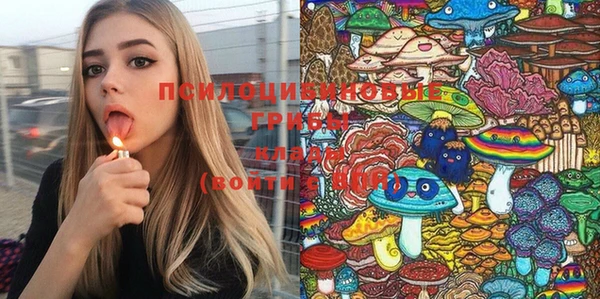 мяу мяу мука Бугульма
