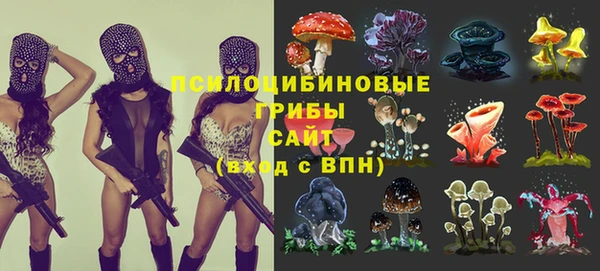 mix Бородино