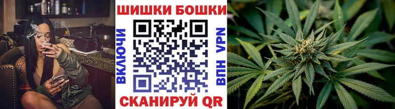 Шишки марихуана план  купить наркоту  Гусев 